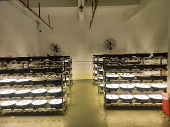 Shenzhen Yongxinrui Lighting Technology Co., Ltd.