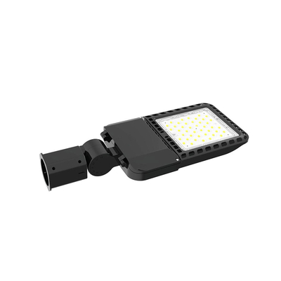 Lampes de protection contre les surtensions 100W Lampes de lumière de rue à LED pour l'éclairage public